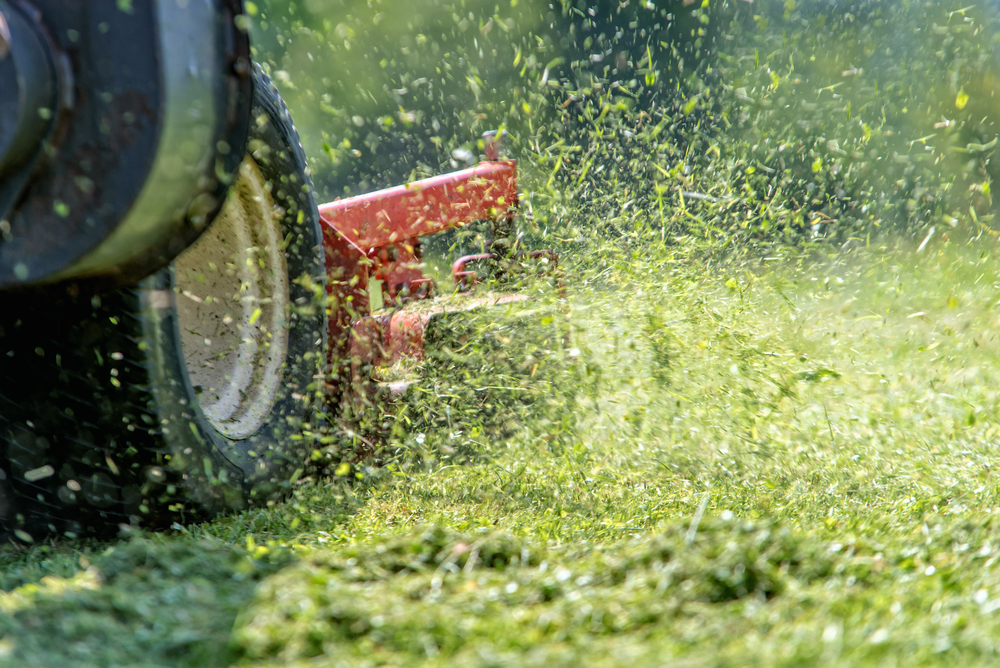 Lawn mowing is where most landscaping businesses begin, building skill and reliability through consistent maintenance work. It creates healthy, well-kept lawns that often lead to larger landscaping projects and long-term client relationships.