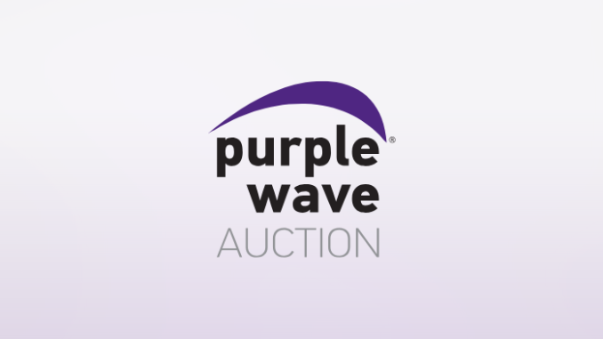 purple wave auction