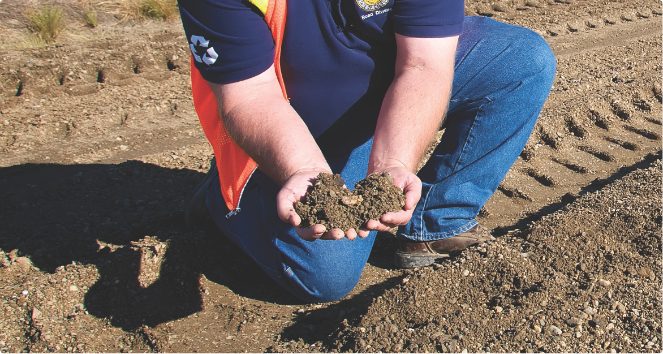 Construction worker holding pulverized asphalt and base material from reclaim