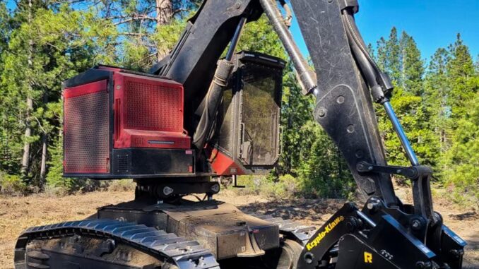 Black Rockland Krypto-Klaw grapple attachment on red tracked forestry machine in a pine clearing